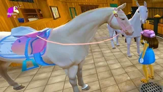 Most Beautiful Horse ! Buying All 6 Akhal-Teke New Horses on Star Stable Online Game