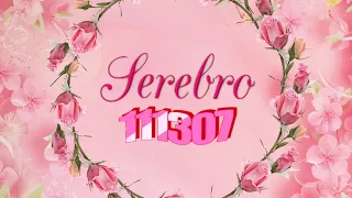 SEREBRO - 111307