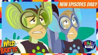 Wild Kratts | Go Aviva Go! | Akili Kids!