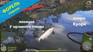 Русская рыбалка 4 - озеро Куори - Снова трофейная озерная форель