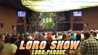 Loro Parque: LORO SHOW - Tenerife (4k)