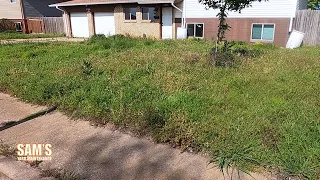 Surprising amount of trash hiding under this overgrown lawn | Will bag next mow | Oddly satisfying