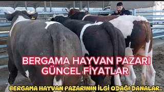 Bergama hayvan pazarında güncel fiyatlar/Üreticiler dertli/Pazara alıcılar bekleniyor/Uygun fiyatlar