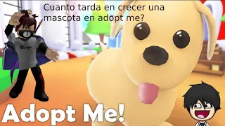 ¿Cuanto tarda en crecer una mascota según su rareza? Adopt me Roblox