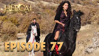 Hercai | Herjai Urdu - Episode 77