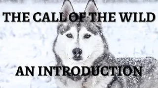 The Call of the Wild by Jack London Explained: Introduction Summary, Characters and Theme Analysis