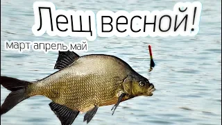 Как ловить леща весной в марте апреле и мае? Толковое обучение ловли леща весной!