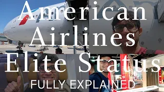 American Airlines Elite Status (Fully Explained)