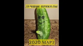 ЛУЧШИЕ ПРИКОЛЫ 2020 Март. Ржака до слез. ЗАСМЕЯЛСЯ - ПОДПИСАЛСЯ! Угар. Смешные видео.