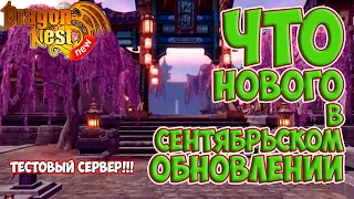 New Dragon Nest • (НЕ)Вкратце о Грядущем Обновлении