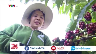 Thách thức nào cho cafe Việt Nam | VTV24