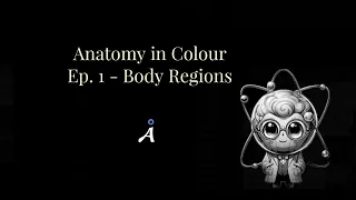 Anatomy in Colour - Episode 1 - Body Regions (Pilot)