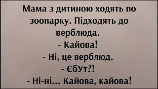 Анекдоти смішні до сліз! Збірка кумедних життєвих анекдотів | Угарні анекдоти від Жеки | Смішно.