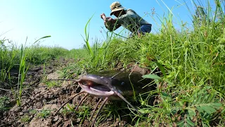 Wow! technique fishing - catch monster catfish in underground now dry season by hand a fisherman