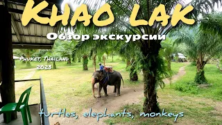 Кхао Лак |экскурсия|полный обзор|Пхукет 2023, Тайланд #пхукет #тайланд #слоны #travel
