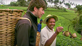 How to Pick Tea | This World: The Tea Trail With Simon Reeve | BBC Studios