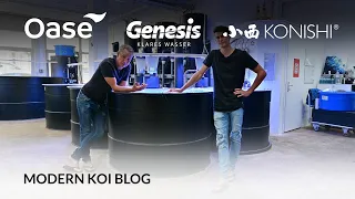 Modern Koi Blog #5473 - Kann Zusatzfutter für Koi schädlich sein?