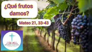 Evangelio del día📕 Mateo 21, 33-43🙇 Reflexión: ¿QUÉ FRUTOS DAMOS?