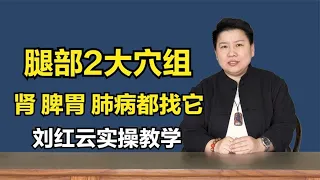 腿部2大穴组：通肾、通胃、通背，足驷马，刘红云针灸实操教学