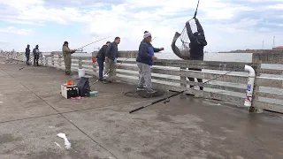 Fisherman Catches the Fish of a LIFETIME!