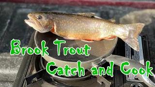 Utah High Uintas Catch and Cook - Brook Trout
