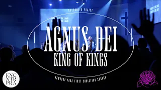Agnus Dei (King of Kings) • LIVE • Encounter Praise