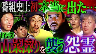 【初耳怪談】ついに出た…！番組史上初の恐怖…山菜採りを襲う怨霊【ガンジー横須賀】【田中俊行】【スピードワゴン・小沢一敬】【島田秀平】【ナナフシギ】【怖い話】