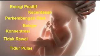 musik box untuk bayi tertidur, musik klasik untuk janin bayi dalam kandungan