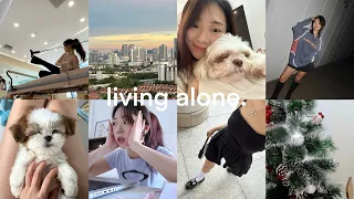 living alone diaries 💌 life lately; new puppy, setting up my christmas tree, piercing