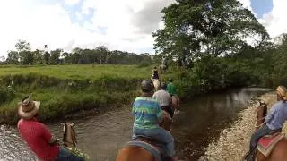 Bavaro Horseback Riding | Punta Cana Tours