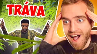 BUDU NEJBOHATŠÍ ZAHRADNÍK V GTA RP! | ARTIX