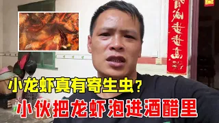 小龙虾真有寄生虫？小伙把龙虾泡进酒醋里，用事实来证明【桥头小何】