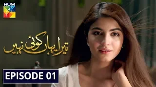 Tera Yahan Koi Nahin Episode 1 HUM TV Drama 30 December 2019