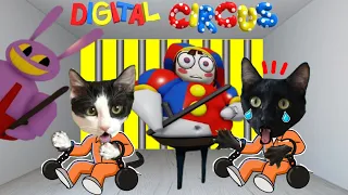 Escape del circo digital roblox pero jugando con Luna y Estrella / Gameplay Amazing digital circus