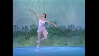 Balanchine Ballets Part 4