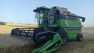 Deutz Fahr 6040 | Buğday Biçimi 2023 | Wheat Form