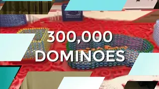 The New Domino World Record