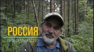 Полное единение вокруг власти? Путин пойдет на перевыборы? Но. Позитива пока не видно.