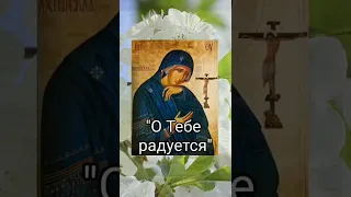 О Тебе радуется