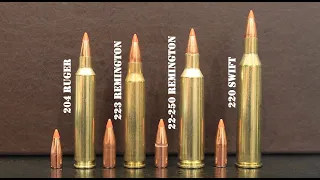 204 Ruger vs 223 Remington vs 22-250 Remington vs 220 Swift Review & Comparison