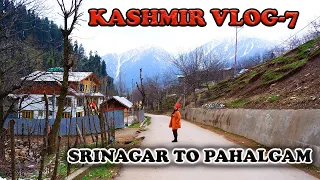 Kashmir Tour | Srinagar to Pahalgam by Road | Pahalgam Vlog EP 07 | Shopping in Kashmir