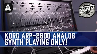 NEW Korg ARP-2600 Analog Synthesizer - No Talking Just Playing! - NAMM 2020