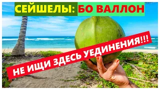 🔴Честный обзор пляжа Бо Валлон🔴Дайвинг, Парковка, Еда🔴Beau Vallon Beach🔴 Seychelles🔴#mirnaladoni2020