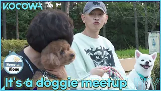 Adorable! Crush chats with local dog-loving ladies l Home Alone Ep 463 [ENG SUB]