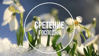 Со Сретением Господним! Сретение Господня Красивое поздравление  Видео Открытка