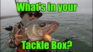 What's in your tackle box? Kayak Fishing