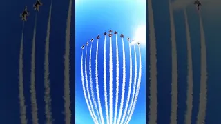 Thunderbirds and Blue Angels Fly in Super Delta Formation - Military #Shorts