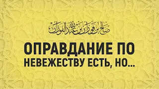 Тонкости в вопросе оправдание по невежеству | Шейх Салих аль-Фаузан