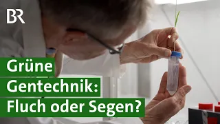 Hitze und Trockenheit, Klimawandel, Welthunger: Ist grüne Gentechnik die Lösung? | Unser Land | BR