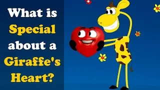 What is Special about a Giraffes Heart? + more videos | #aumsum #kids #science #education #children